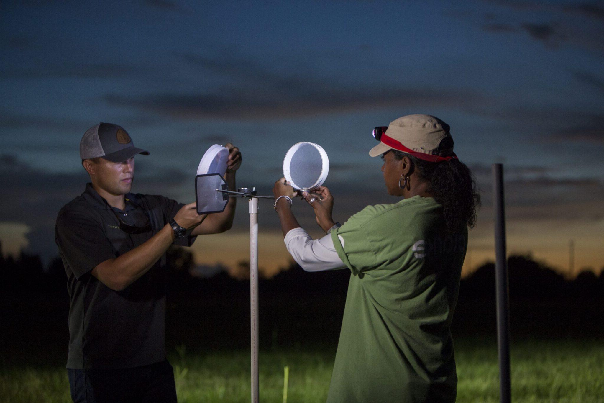 mosquito adulticide field trial